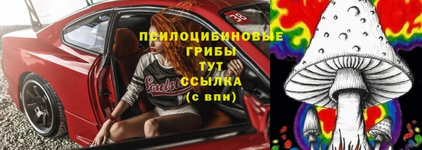 тгк Абдулино