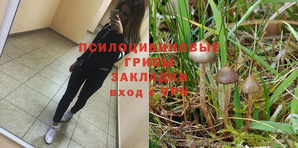 мдпв Абинск