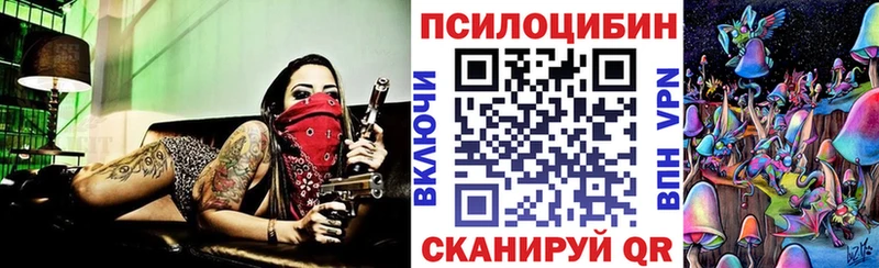 blacksprut ССЫЛКА купить сайты Нальчик Галлюциногенные грибы Psilocybe