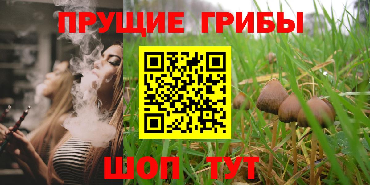 Галлюциногенные грибы мухоморы Нальчик