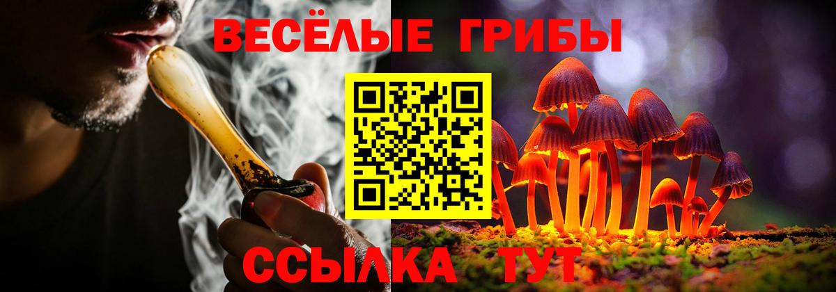 Нальчик  Галлюциногенные грибы GOLDEN TEACHER  Вход с VPN  Псилоцибиновые грибы GOLDEN TEACHER 